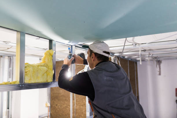 Best Attic Insulation Near Me  in Lford, MI