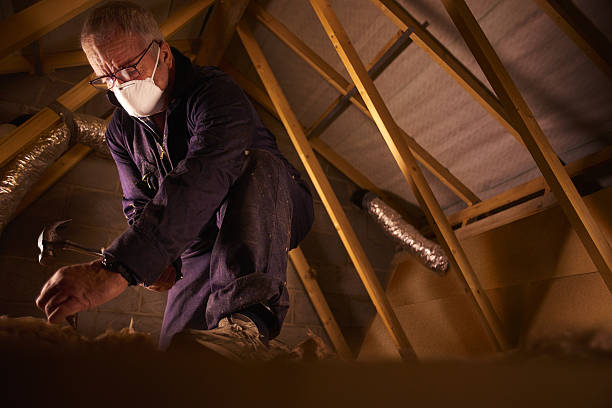 Best Best Insulation Companies  in Lford, MI